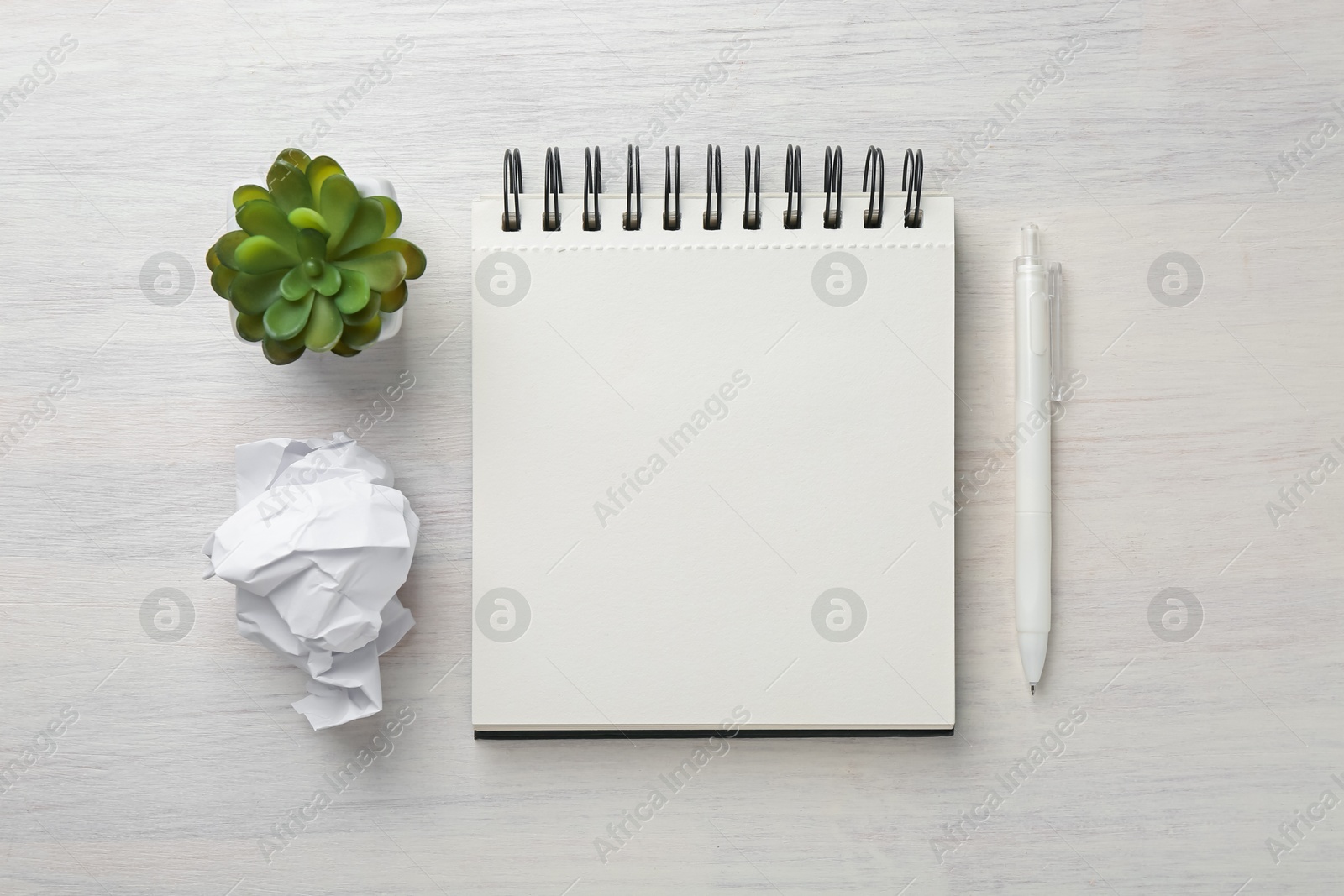 Notebook, crumpled paper, pen and decorative plant on light wooden table, flat lay Photo of Notebook, crumpled paper, pen and decorative plant on light wooden table, flat lay