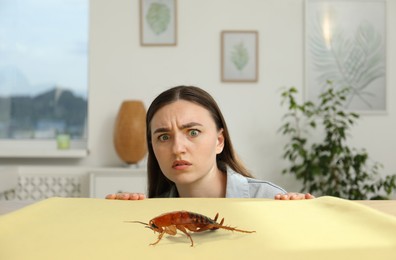 Image of Emotional young woman frightened by cockroach on table indoors