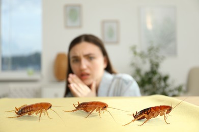 Image of Emotional young woman looking in disgust at cockroaches on table indoors, selective focus
