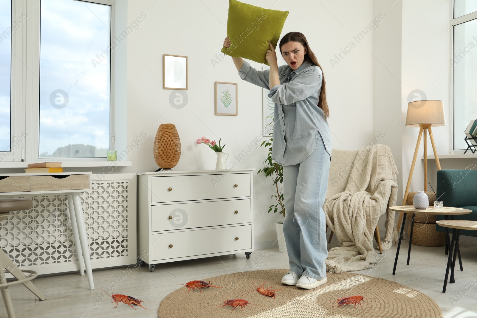 Emotional young woman with pillow frightened by cockroaches on floor at home Image of Emotional young woman with pillow frightened by cockroaches on floor at home