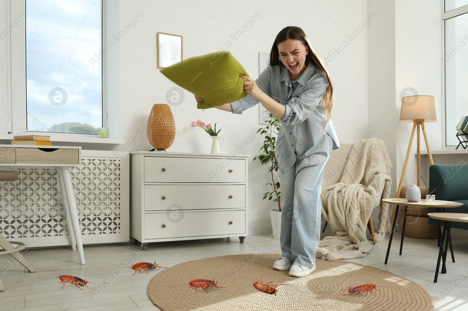 Emotional young woman with pillow frightened by cockroaches on floor at home Image of Emotional young woman with pillow frightened by cockroaches on floor at home