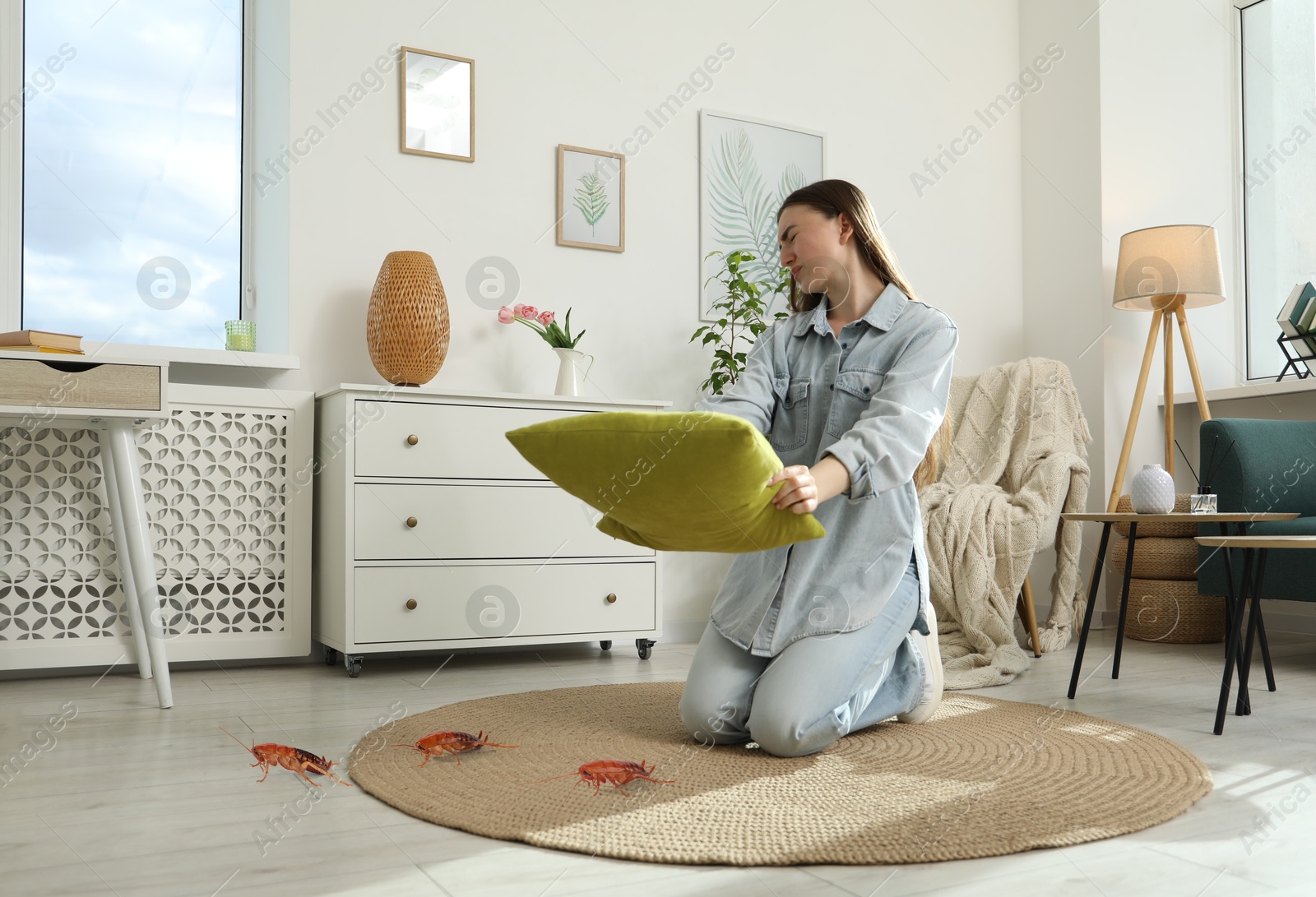Emotional young woman with pillow frightened by cockroaches on floor at home Image of Emotional young woman with pillow frightened by cockroaches on floor at home