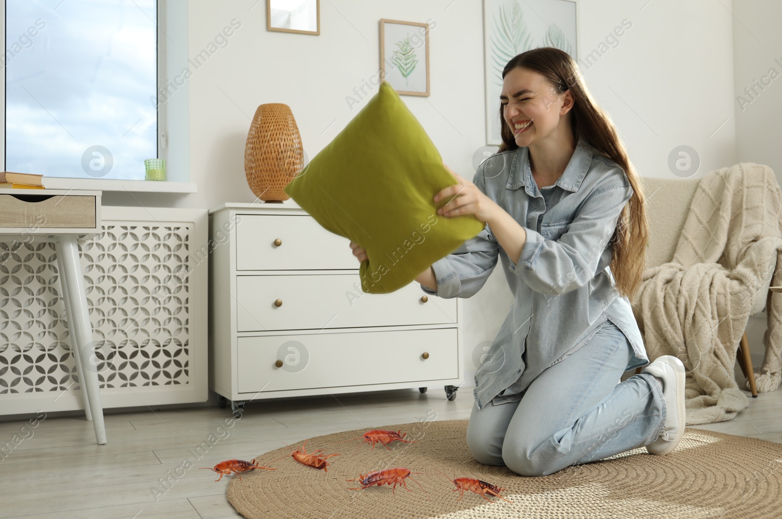 Emotional young woman with pillow frightened by cockroaches on floor at home Image of Emotional young woman with pillow frightened by cockroaches on floor at home