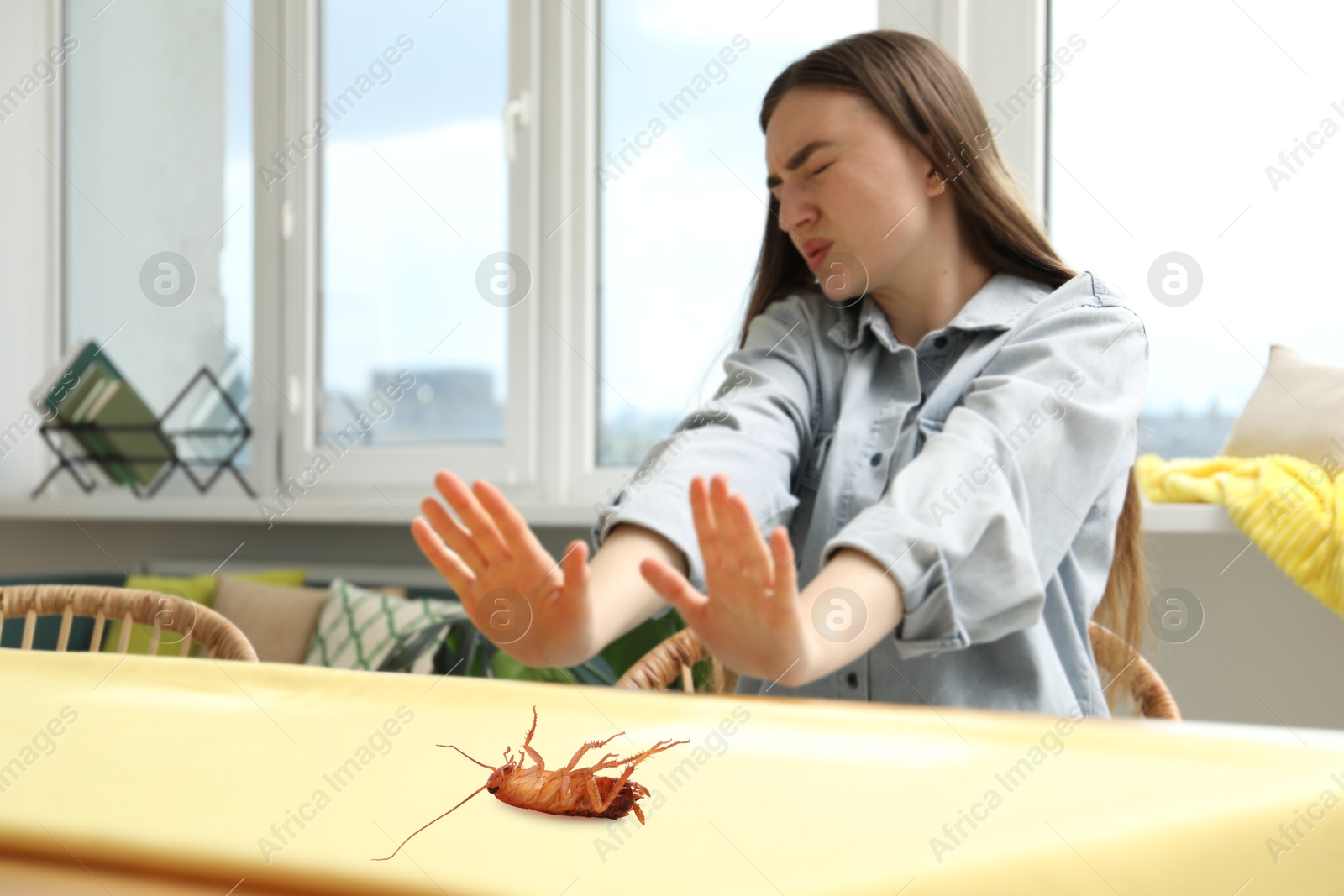 Emotional young woman frightened by cockroach on table at home Image of Emotional young woman frightened by cockroach on table at home