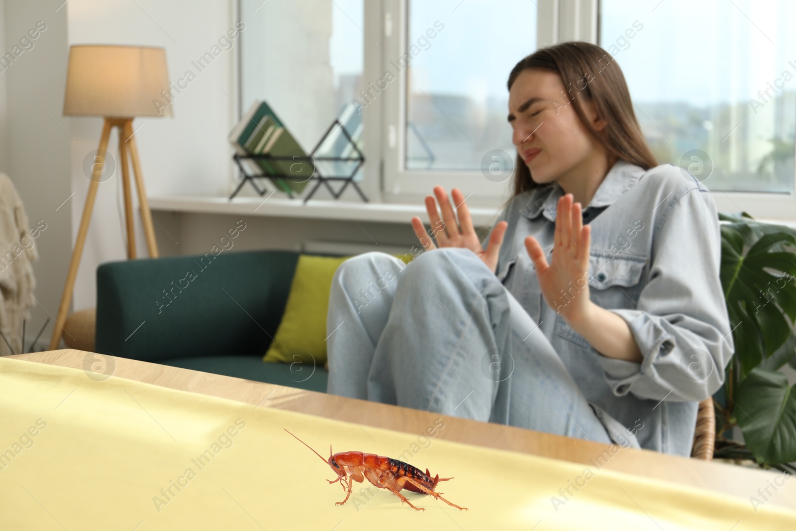 Emotional young woman frightened by cockroach on table at home Image of Emotional young woman frightened by cockroach on table at home