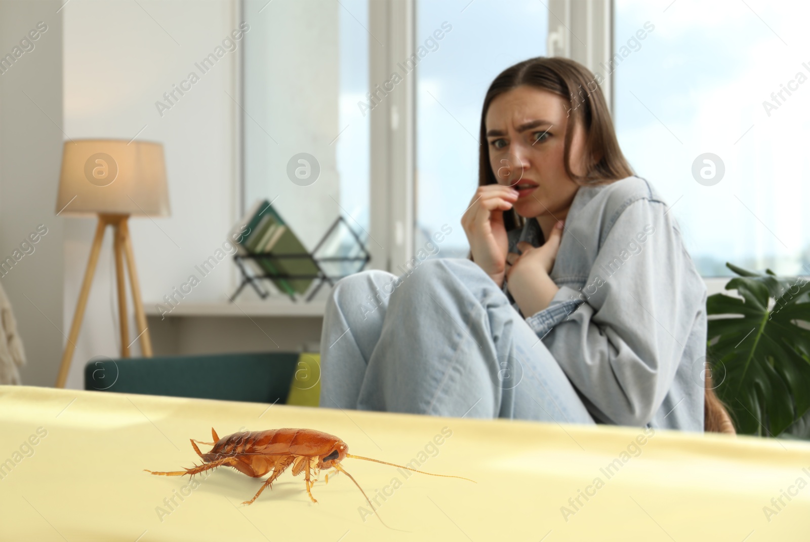 Emotional young woman frightened by cockroach on table at home Image of Emotional young woman frightened by cockroach on table at home