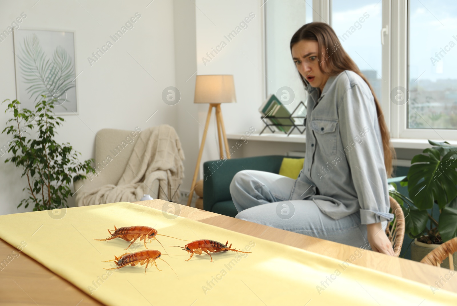 Emotional young woman frightened by cockroaches on table at home Image of Emotional young woman frightened by cockroaches on table at home