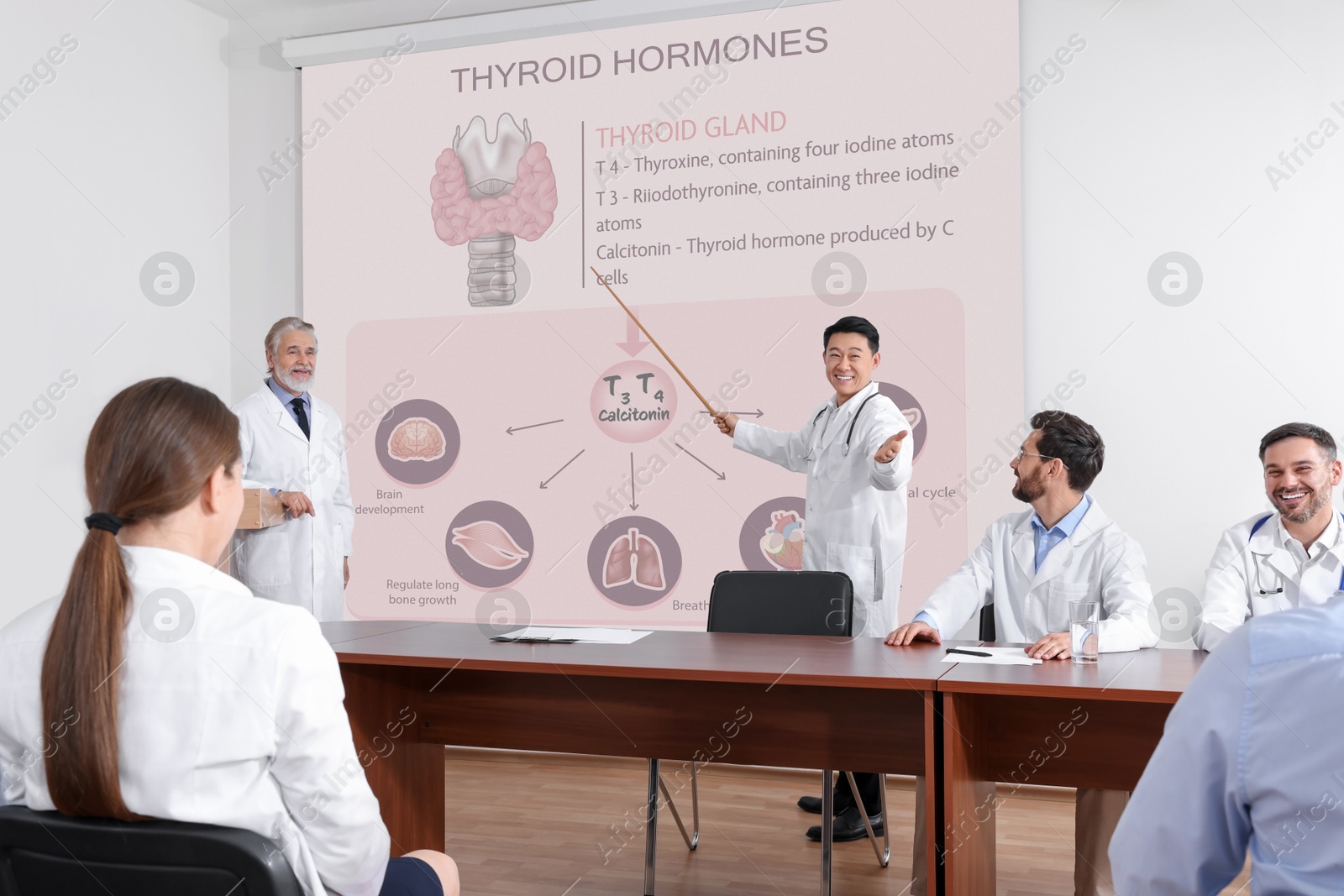 Healthcare professionals giving lecture about thyroid hormones in conference room using video projector. Illustrations on projection screen Image of Healthcare professionals giving lecture about thyroid hormones in conference room using video projector. Illustrations on projection screen