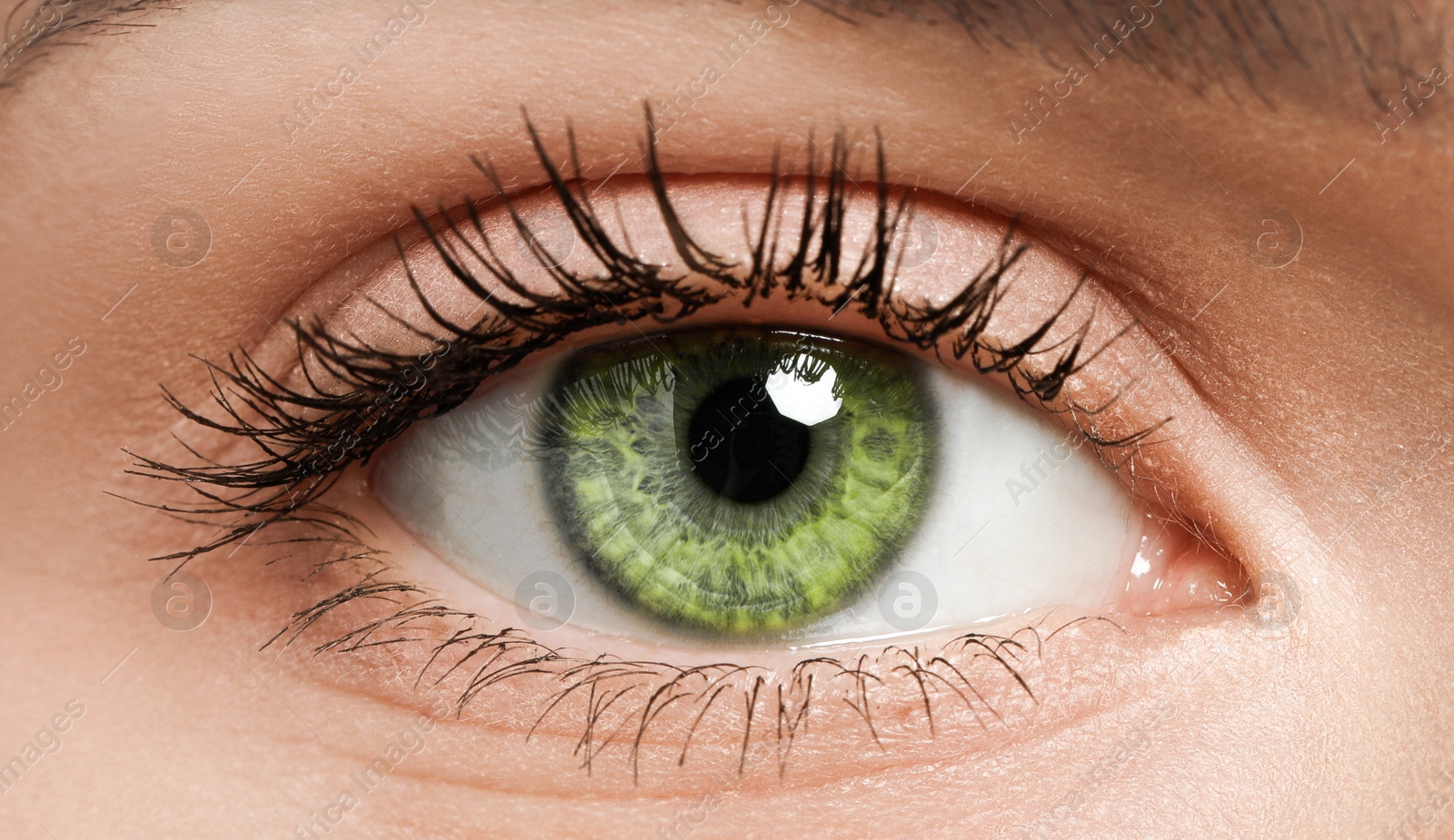 Closeup view of woman with green eyes Image of Closeup view of woman with green eyes