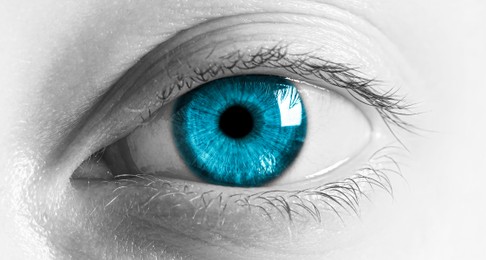 Image of Closeup view of woman with blue eyes, toned in black and white. Banner design
