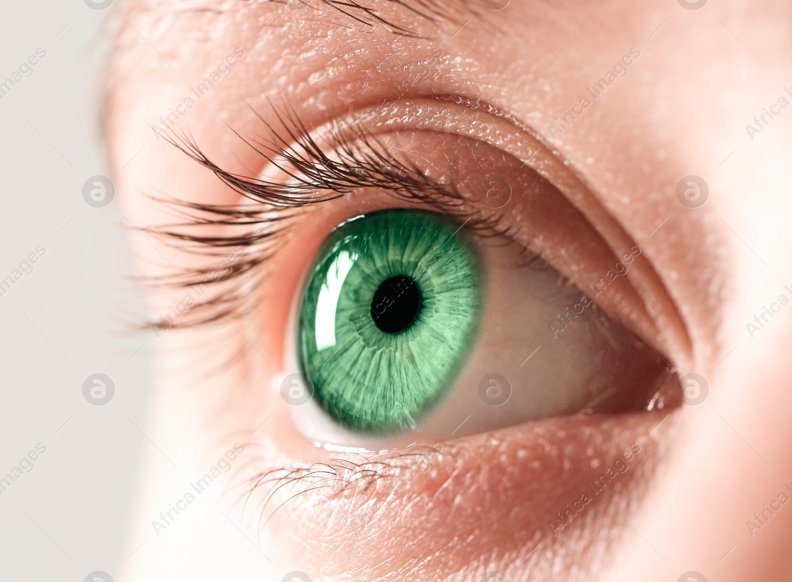 Closeup view of woman with green eyes on light background Image of Closeup view of woman with green eyes on light background