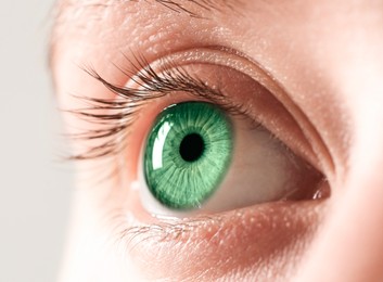 Image of Closeup view of woman with green eyes on light background