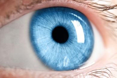 Image of Closeup view of woman with blue eyes