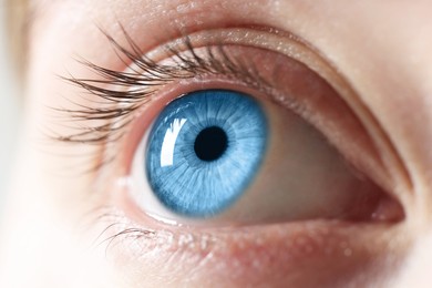 Image of Closeup view of woman with blue eyes