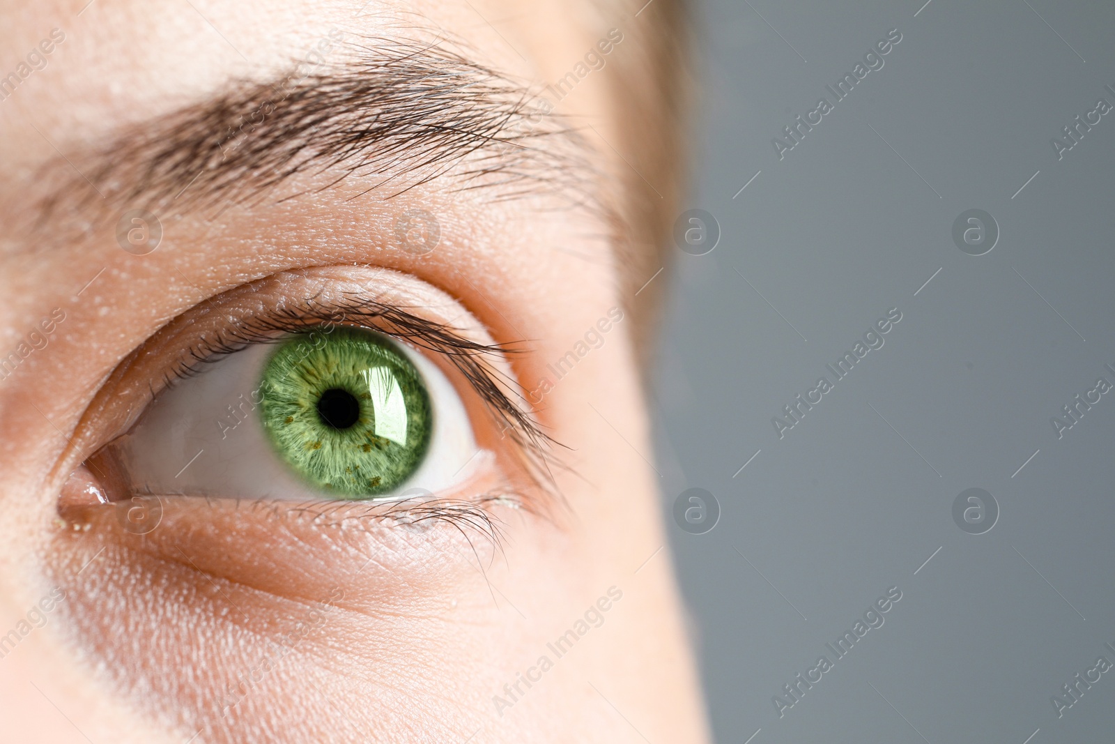 Closeup view of man with green eyes on grey background. Space for text Image of Closeup view of man with green eyes on grey background. Space for text