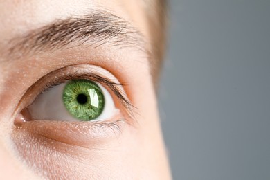 Image of Closeup view of man with green eyes on grey background. Space for text