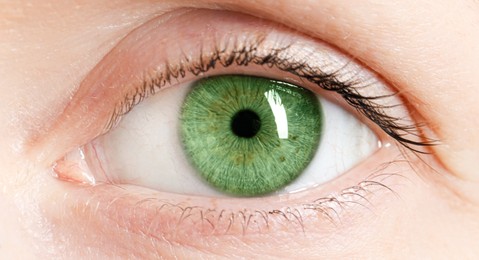 Image of Closeup view of woman with green eyes. Banner design