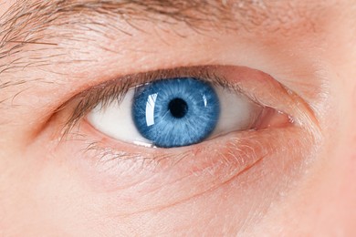 Image of Closeup view of man with blue eyes