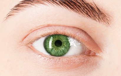 Image of Closeup view of woman with green eyes