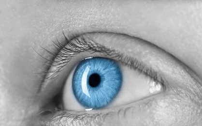 Image of Closeup view of woman with blue eyes. Black and white effect