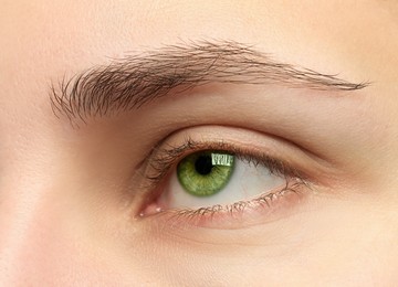 Image of Closeup view of woman with green eyes