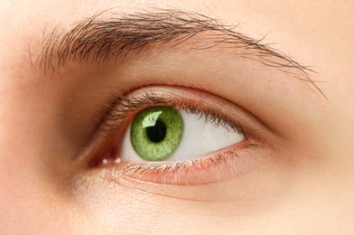 Image of Closeup view of woman with green eyes