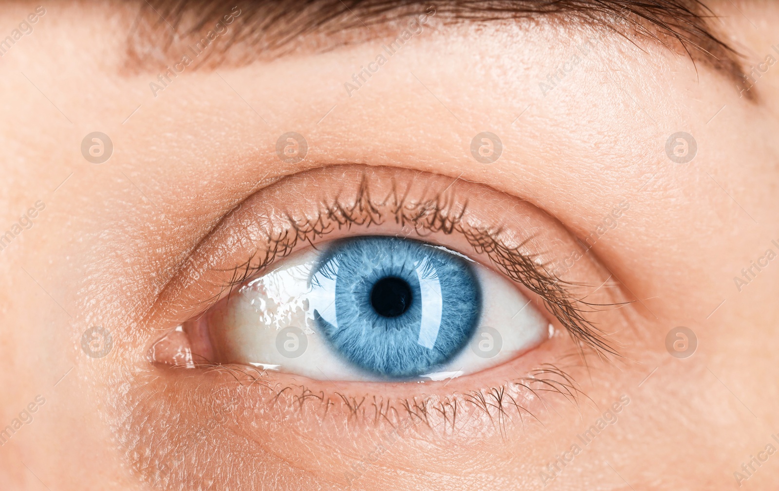 Closeup view of woman with blue eyes Image of Closeup view of woman with blue eyes