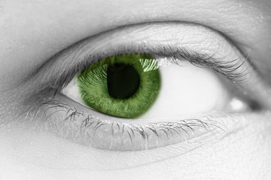 Image of Closeup view of woman with green eyes. Black and white effect