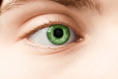 Image of Closeup view of woman with green eyes
