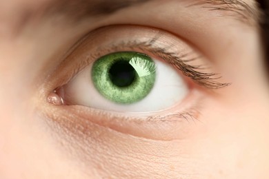 Image of Closeup view of woman with green eyes