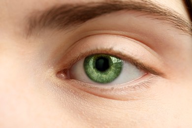 Image of Closeup view of woman with green eyes