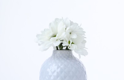 Photo of Beautiful chrysanthemums in ceramic vase on white background, closeup