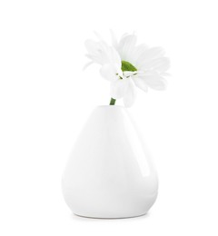 Photo of Beautiful chrysanthemum in ceramic vase isolated on white