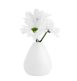 Photo of Beautiful chrysanthemums in ceramic vase isolated on white