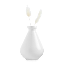 Photo of Beautiful decorative plants in vase isolated on white