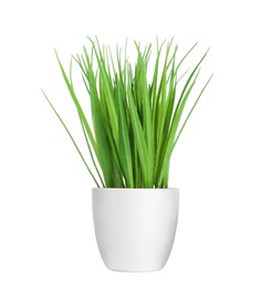 Photo of Green artificial grass in pot isolated on white