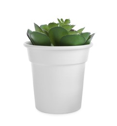 Photo of Beautiful artificial plant in flower pot isolated on white