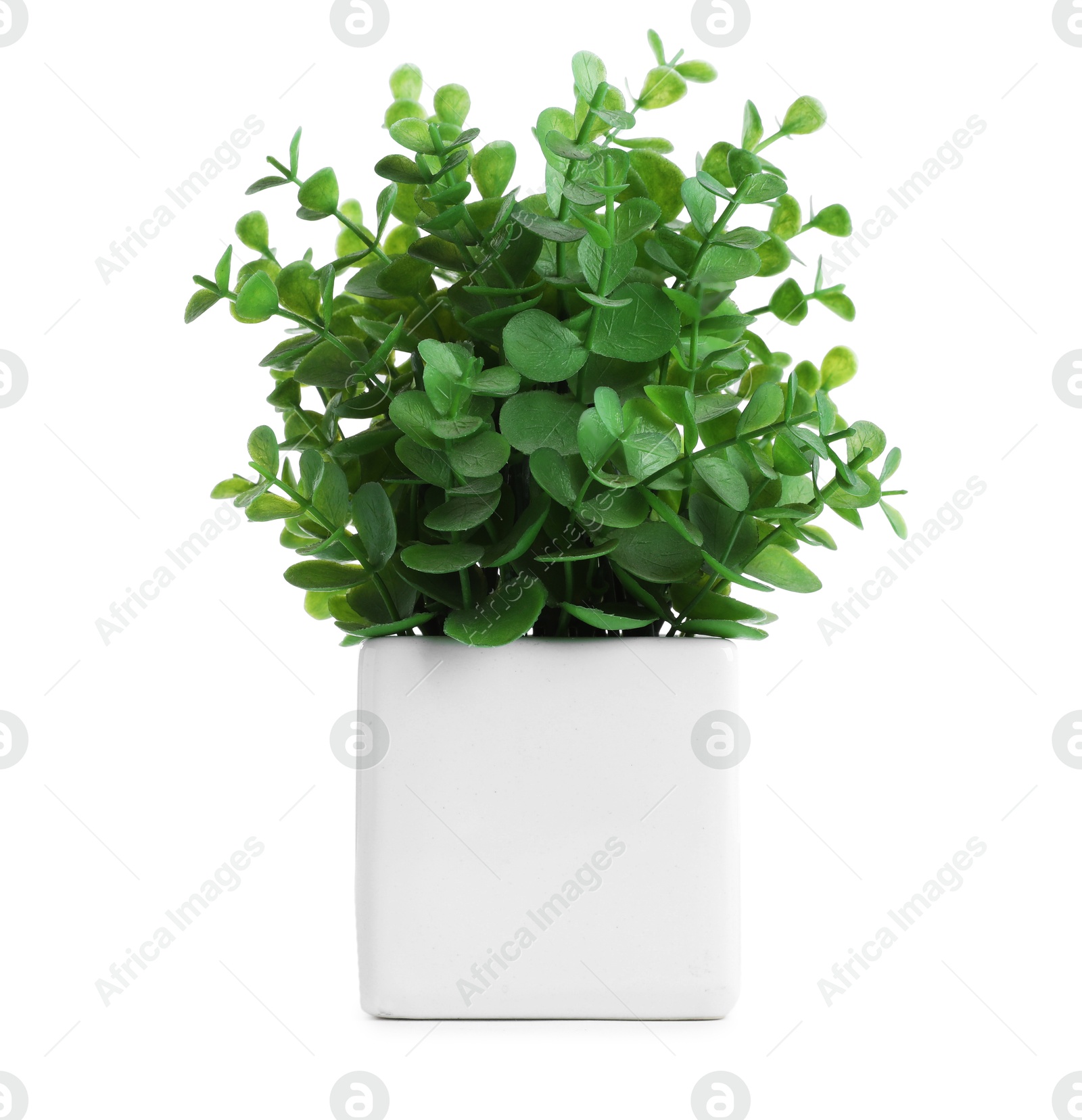 Beautiful artificial plant in flower pot isolated on white Photo of Beautiful artificial plant in flower pot isolated on white