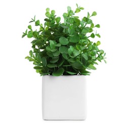 Photo of Beautiful artificial plant in flower pot isolated on white
