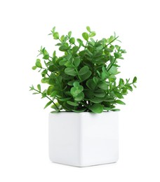 Photo of Beautiful artificial plant in flower pot isolated on white