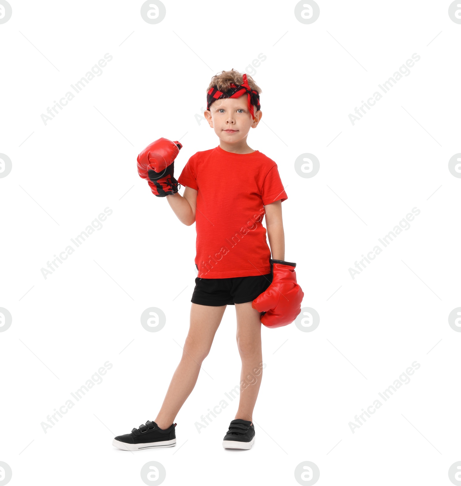 Little boy with boxing gloves on white background Photo of Little boy with boxing gloves on white background
