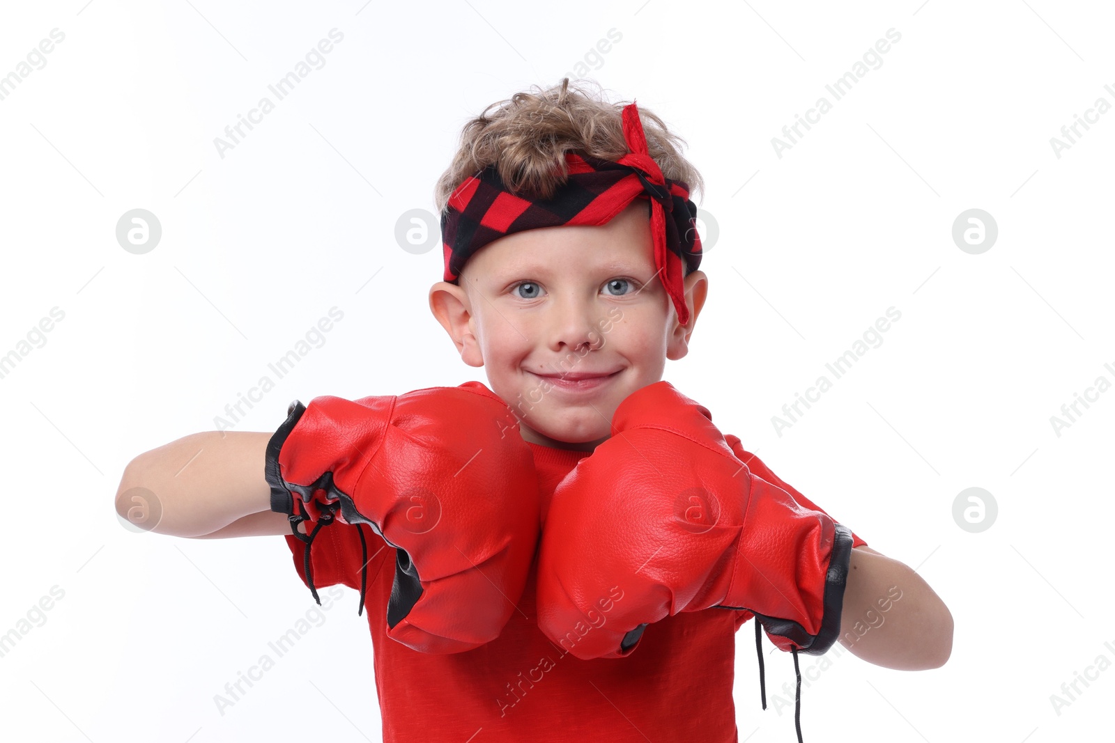 Little boy with boxing gloves on white background Photo of Little boy with boxing gloves on white background