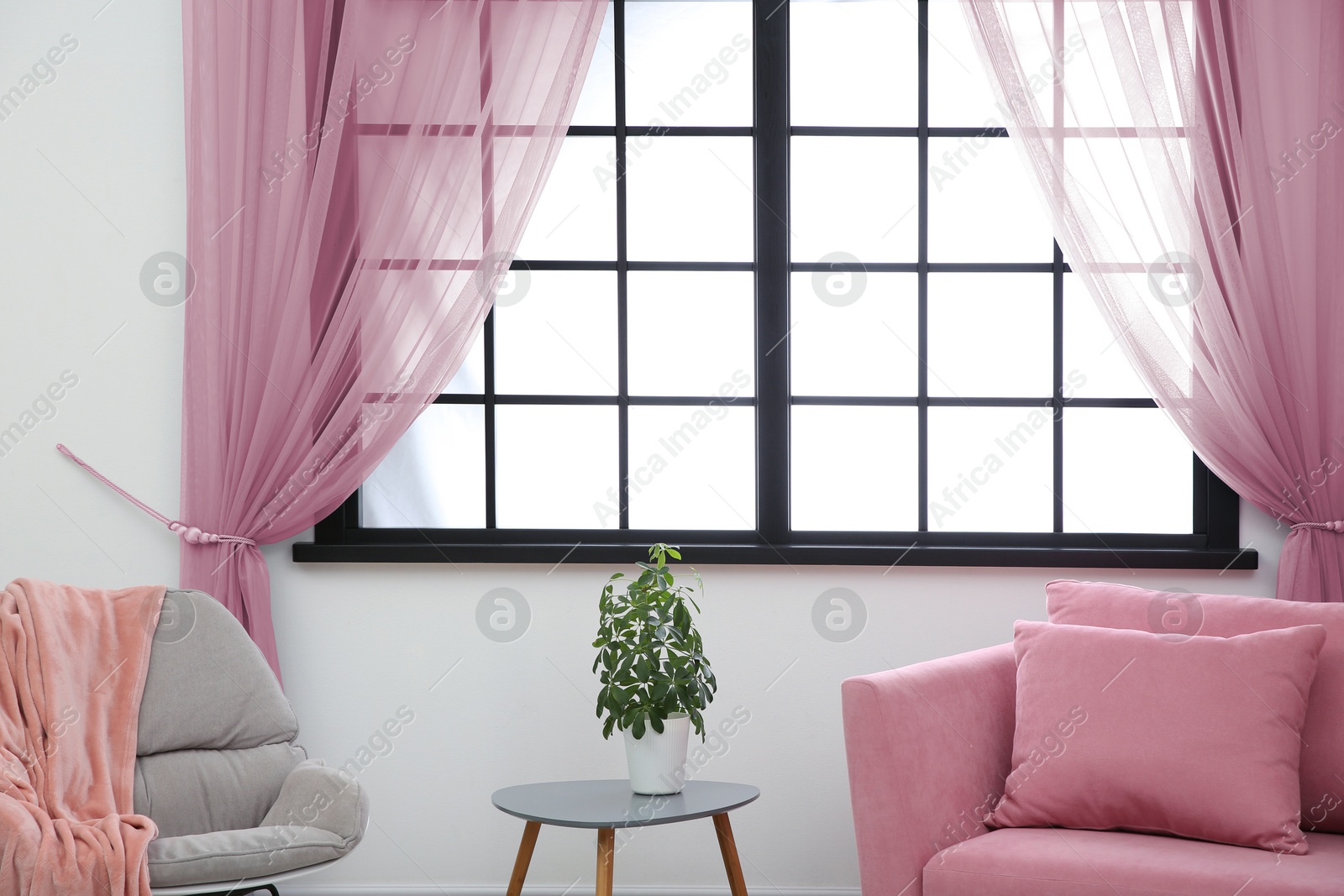 Armchair and sofa near window with pink curtains in room. Interior design Image of Armchair and sofa near window with pink curtains in room. Interior design
