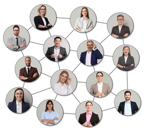 Image of Network: business, communication, team. Circles with portraits of people connected to each other on white background