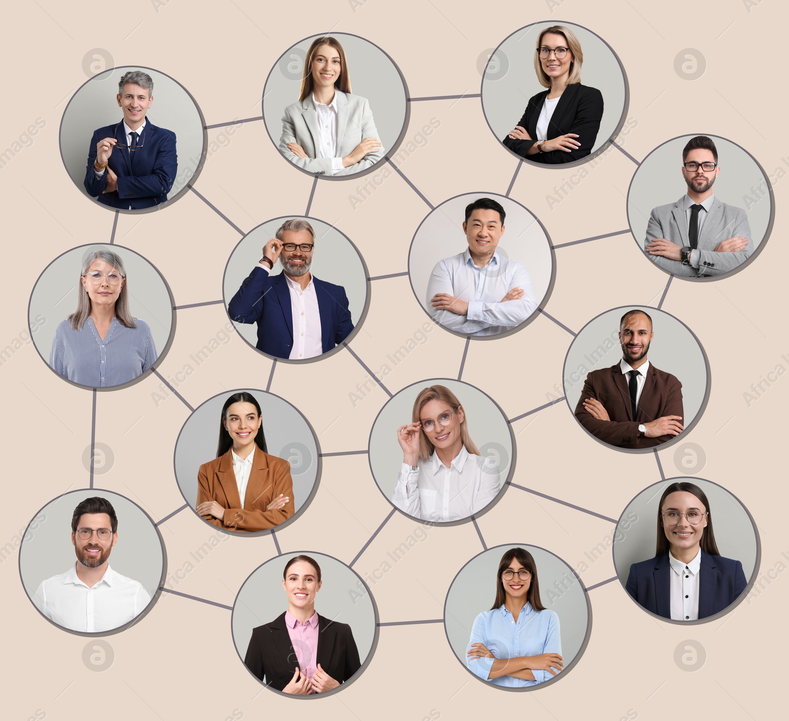 Network: business, communication, team. Circles with portraits of people connected to each other on beige background Image of Network: business, communication, team. Circles with portraits of people connected to each other on beige background