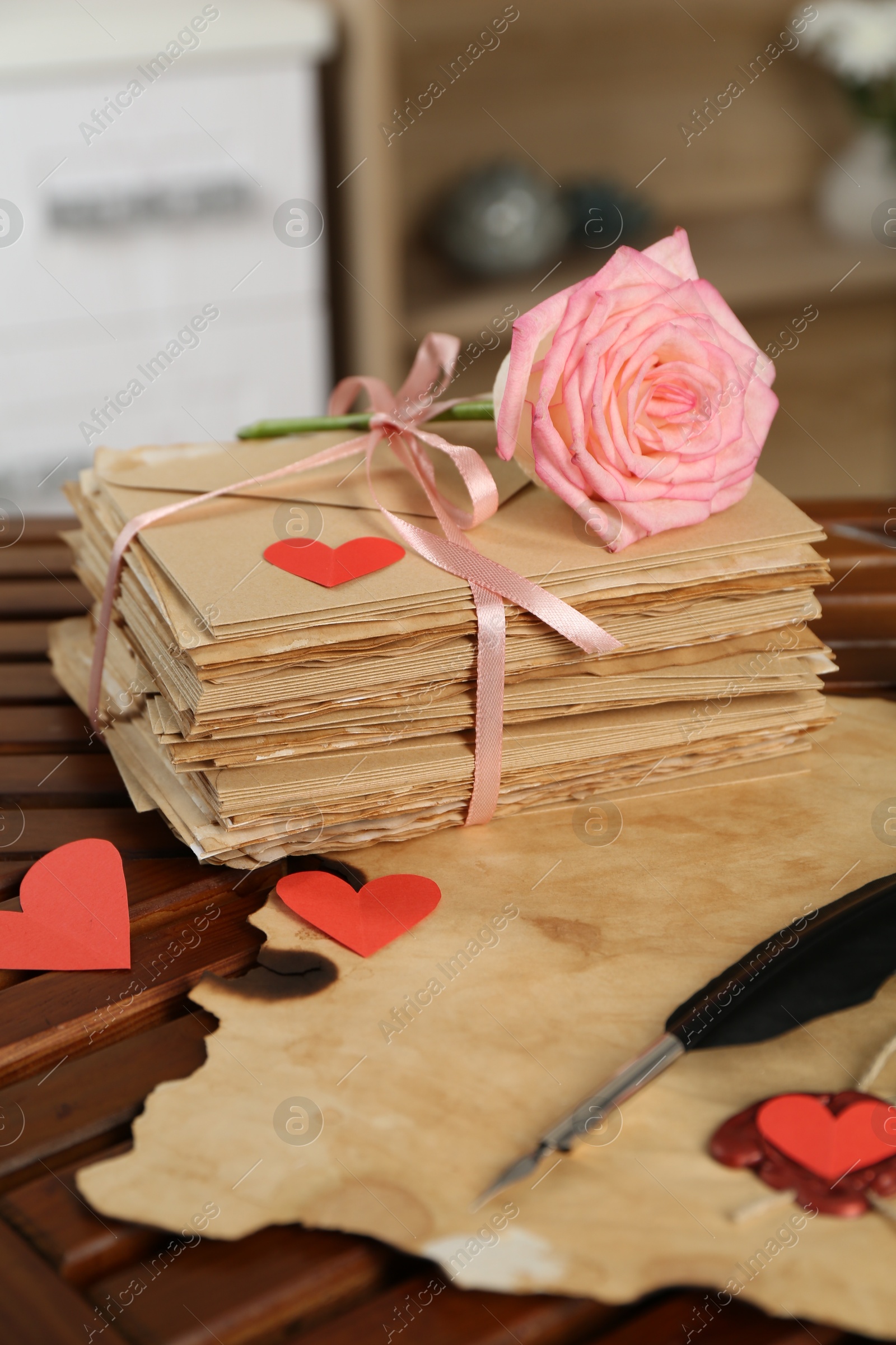 Stack of love letters, parchment sheet, quill, rose flower and red hearts on wooden table indoors, closeup Photo of Stack of love letters, parchment sheet, quill, rose flower and red hearts on wooden table indoors, closeup