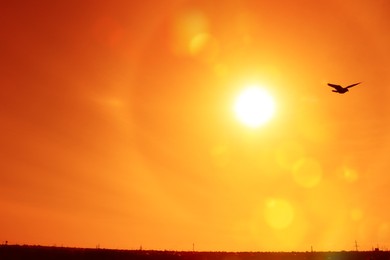 Image of Bright sun and flying bird in orange sky during hot summer weather