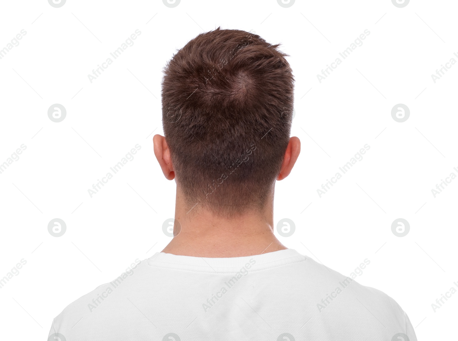 Man with brown hair on white background, back view Photo of Man with brown hair on white background, back view