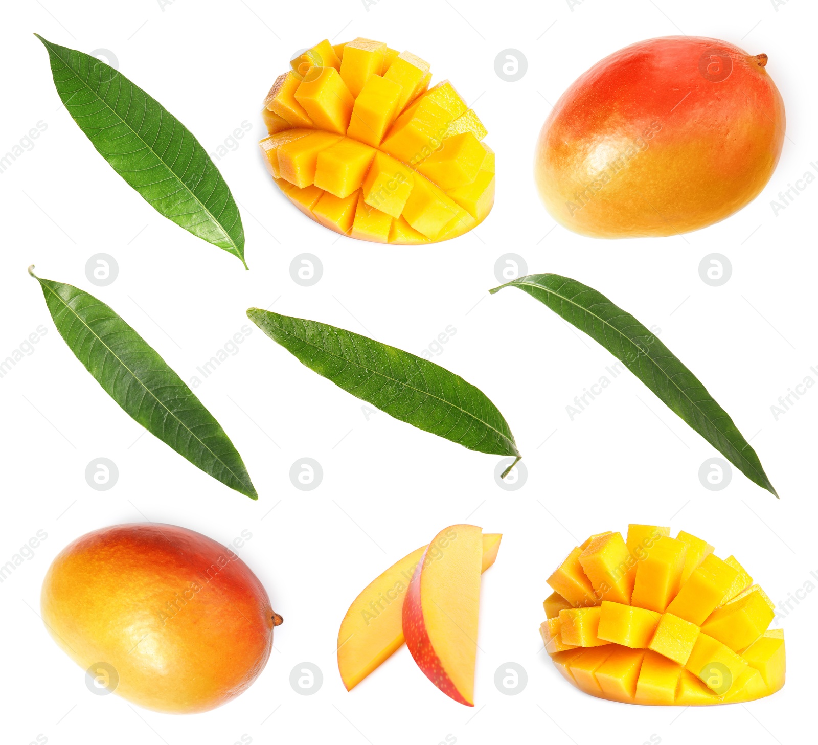 Image of Sweet mango fruits and green leaves isolated on white, set