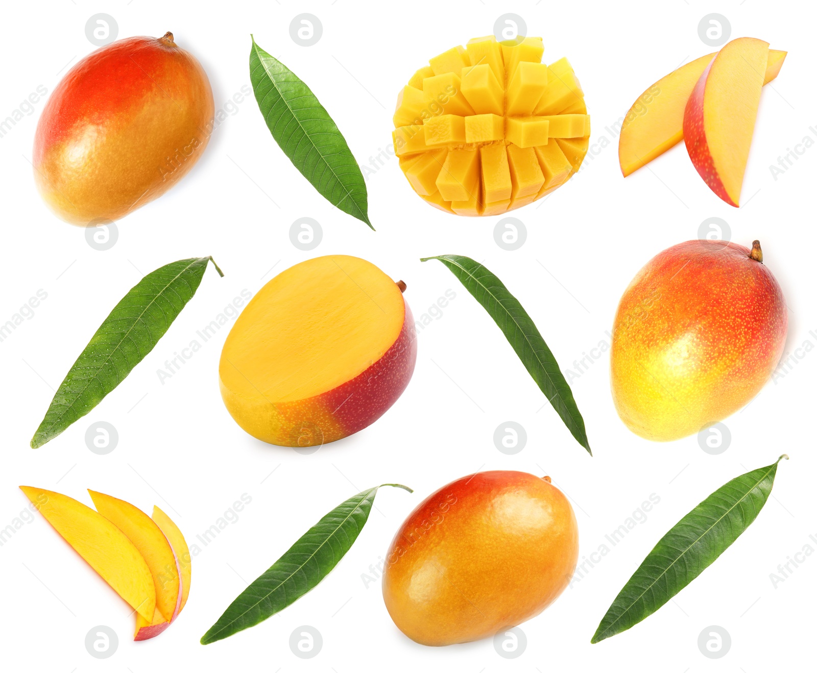 Image of Sweet mango fruits and green leaves isolated on white, set